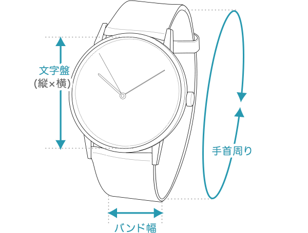 wristwatch 腕時計のサイズ